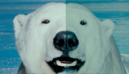 �Ϲ����֡�NG28(�й�)�ٷ���վ