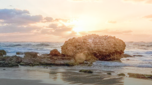 �Ϲ����֡�NG28(�й�)�ٷ���վ