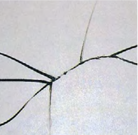 �Ϲ����֡�NG28(�й�)�ٷ���վ