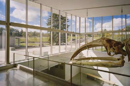 �Ϲ����֡�NG28(�й�)�ٷ���վ